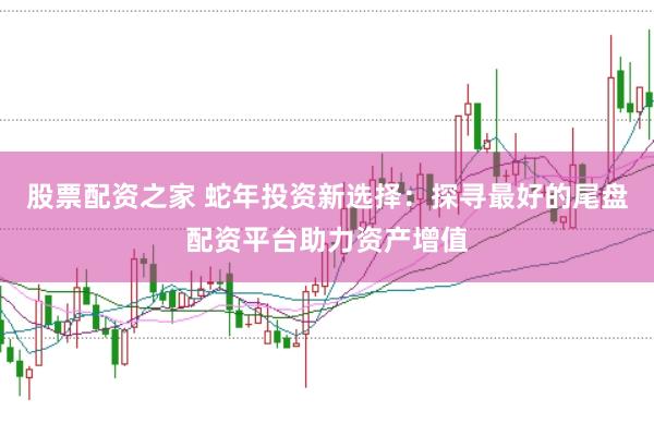 股票配资之家 蛇年投资新选择：探寻最好的尾盘配资平台助力资产增值