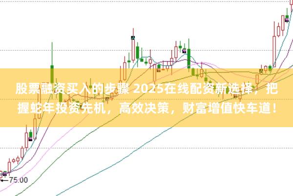 股票融资买入的步骤 2025在线配资新选择，把握蛇年投资先机，高效决策，财富增值快车道！