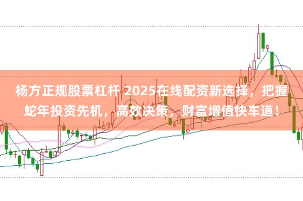 杨方正规股票杠杆 2025在线配资新选择,把握蛇年投资先机,高效决策,财富增值快车道!