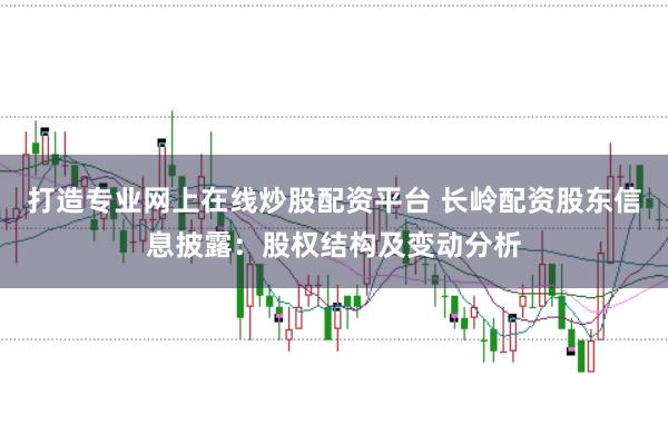 打造专业网上在线炒股配资平台 长岭配资股东信息披露：股权结构及变动分析