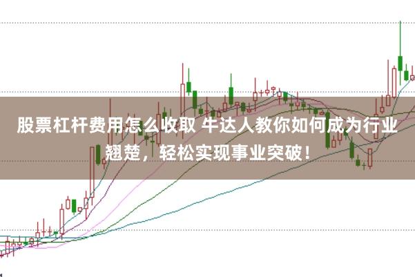 股票杠杆费用怎么收取 牛达人教你如何成为行业翘楚,轻松实现事业突破!