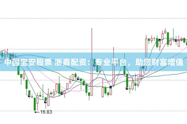 中国宝安股票 浙嘉配资：专业平台，助您财富增值