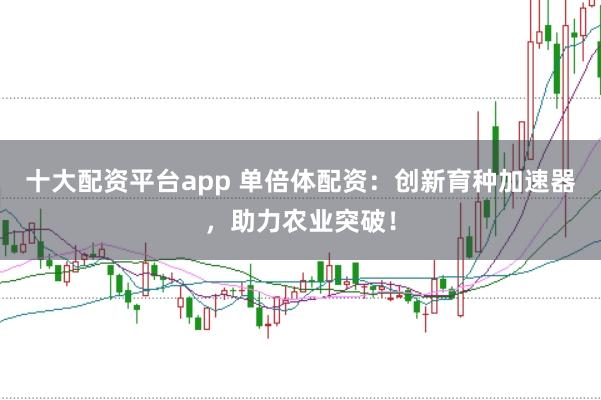 十大配资平台app 单倍体配资：创新育种加速器，助力农业突破！