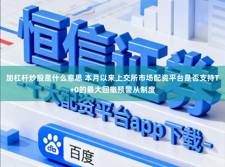 加杠杆炒股是什么意思 本月以来上交所市场配资平台是否支持T+0的最大回撤预警从制度
